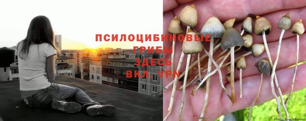 а пвп мука Беломорск