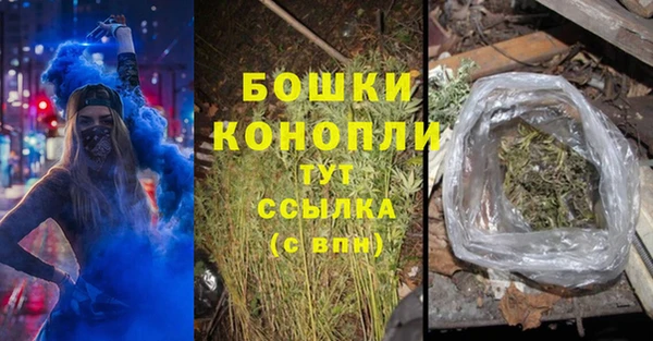 молекула духа Белокуриха