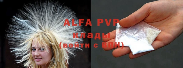 молекула духа Белокуриха